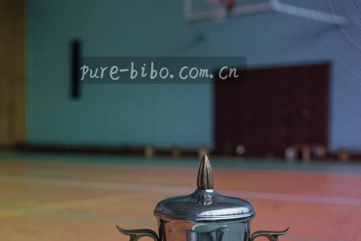 苹果设备运行必博BIBO应用主界面